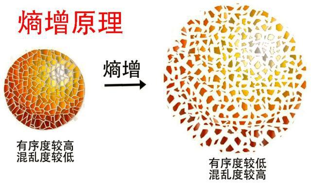 太阳上会进化出等离子体生命吗？